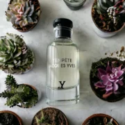 Tempete Jacques Yves – Fragrance World – Image 3